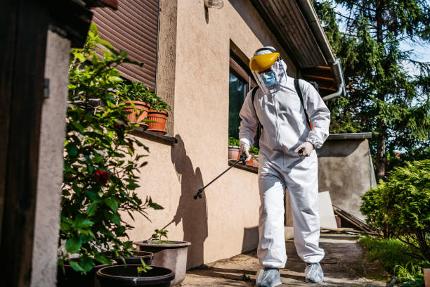 Professional Pest Control in Royalton, MN