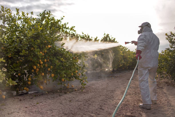 Pest Prevention Services in Royalton, MN