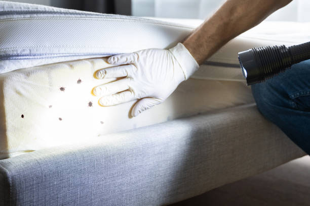 Pest Control for Restaurants in Royalton, MN