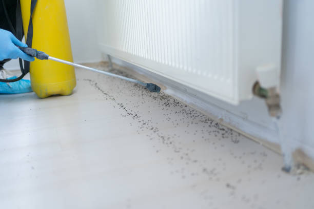 Best Pest Prevention Services  in Royalton, MN